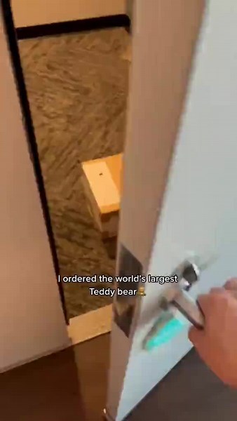 World's Largest Stuffed Animal Reveal