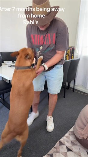 Rabi's Heartwarming Return After 7 Months Away