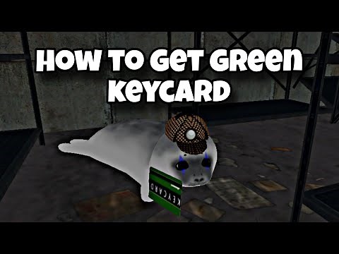 How to Get Green Keycard in Be a Silly Seal Roblox | keycard