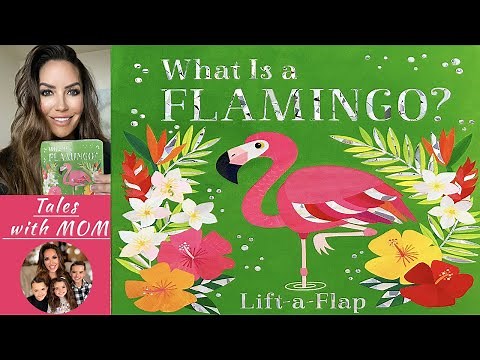 Discover Flamingos! 🦩 | Animated Read-Aloud: 'What is a Flamingo?