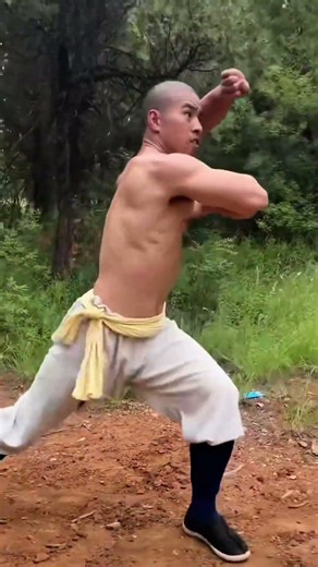 中国功夫十八般武艺每天更新 #martialarts #JackieChan#Chinese Kung Fu#kungfu