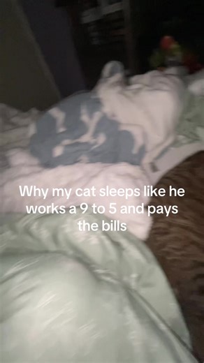 He be as long as a subway footlong and somehow still takes up the whole bed