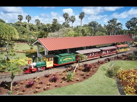 Dole Plantation Pineapple Express Train Tour | Wahiawa, Oahu, Hawaii | Full Train Tour | HD 4K