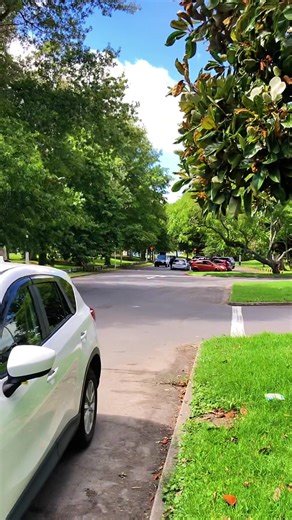 Discover the New Zealand Car Scene with Bass Boosted Sound