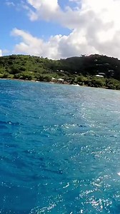 Beyond the reach of sunlight, life still thrives in the deep! 🌊✨ Which ocean zone would you want to visit, if you could? 📲Find your fave: go.whoi.edu/ocean-zones #DeepSea #OceanZones #OceanExploration | Woods Hole Oceanographic Institution (WHOI)