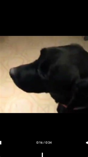 buddy growing up. take on an old LG Slide phone. taken a few days before ___. Had cancer in bones