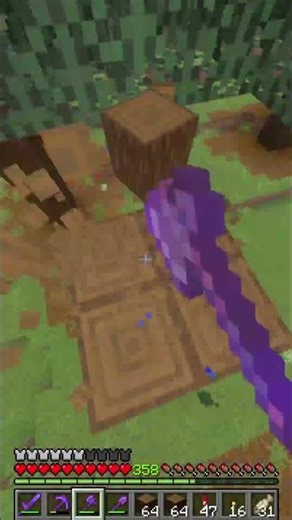POV: you just discovered shelves in Minecraft #minecraft #shorts