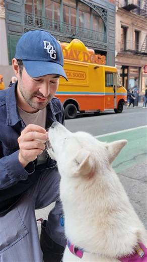 The Dogist on Instagram: "Elsa and I stopped by @australia ‘s G’Day Dogs truck in SoHo for a Hot-Dogist review. We tried what Australians call a “sausage sizzle” classic and Sydney surf-n-turf 🌭 #Ad"