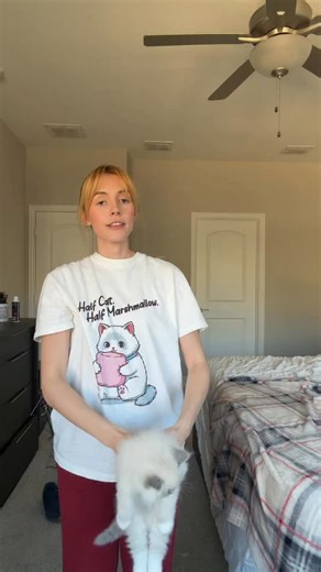 It's time for the Ragdoll test! | Pearl's Ragdolls