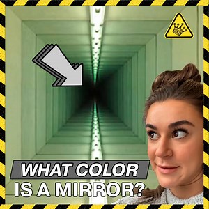 13K views · 93 reactions | Fun Facts About Animals | The King of Random | Facebook