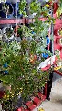 Easy indoor DIY gardens