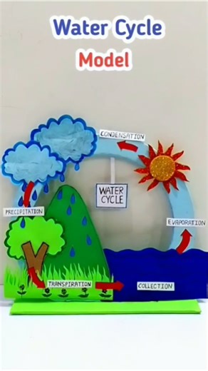 Science project🔥Water Cycle Model 🌊 #project #scienceproject #watercycle