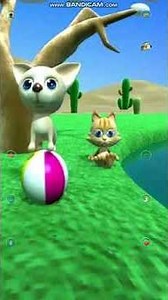 Talking Chihuahua and Cat (2012) Full Gameplay - Samsung Galaxy S2