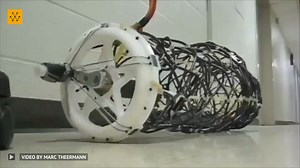 Researchers at Case Western Reserve University have unveiled a groundbreaking creation - a "soft hyper-redundant robot" inspired by earthworms. This innovative robot mimics peristalsis, allowing for smooth movement through a flexible outer mesh that continuously changes shape. The team's design offers a unique combination of adaptability and control, showcasing potential applications in diverse fields such as search and rescue, medical procedures, and industrial inspections. Video Credit: Marc T