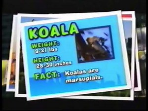 Disney’s The Wild (2006) TV Spot - Another Day in the Concrete Jungle