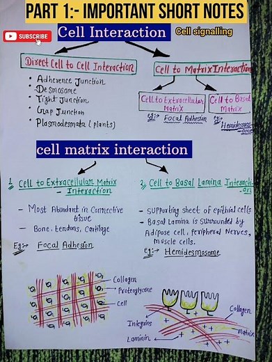 Cell signalling # Csir net # Cell Interaction # Short notes