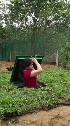 Bushcraft Camping Ideas for Outdoor Enthusiasts