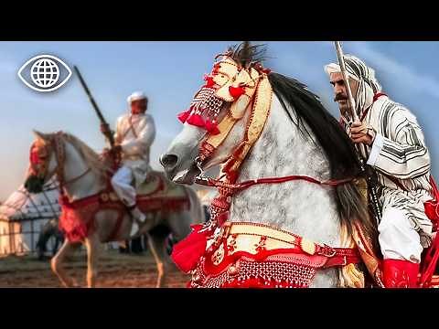 What makes the Zayanes riders unique in the world? ⎮Documentary Morocco⎮AMP