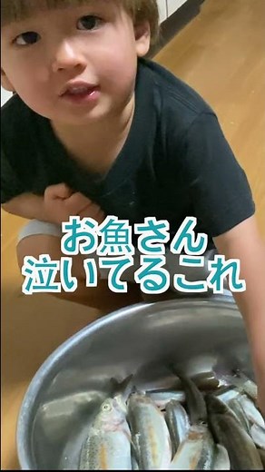 The 2-year-old doing the live broadcast was too cute! 🇨🇭×🇯🇵#shorts #internationalmarriage #2yearsold