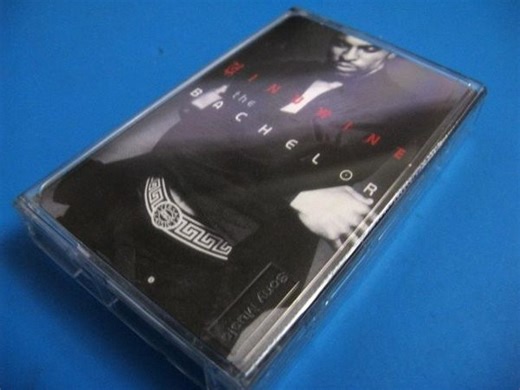 Ginuwine - Ginuwine... The Bachelor