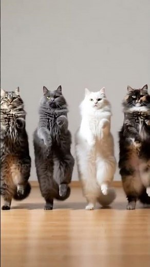 #CatDance | Adorable Cats Grooving to Music 😹💃