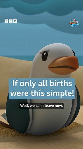 CBeebies Parenting on Instagram: "The Octonauts are back on their rescue missions! 🦤 Watch Octonauts Above & Beyond Series 2 on CBeebies & iPlayer! #CBeebies #iPlayer #OctonautsAboveAndBeyond #Octonauts #Octoalert #KidsTV #ParentsOfInstagram @octonautsofficial"