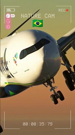 Beautiful Azul Brazilian Airlines AirbusA330-900 #trending #shorts