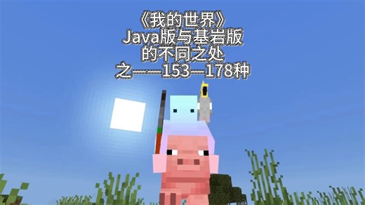 《我的世界》Java版与基岩版的不同之处之——153—178种