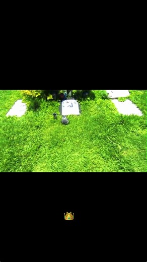 MR.yosie_lokote,💀” (@mr.yosie_lokote)’s videos with El Duke - Mr Yosie Locote