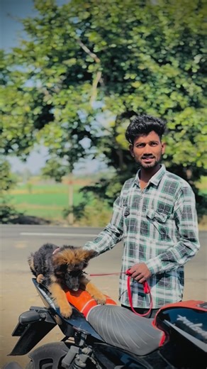 sai_pet_&_ dog_kennel on Instagram: "plz genare call kra 🙏🏻🙏🏻 #doglife #doglover #dog #dog #dogstagram"