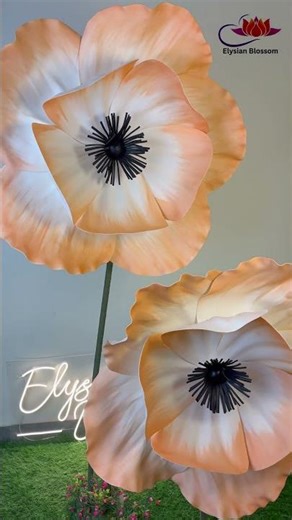 Giant White with Orange Poppy