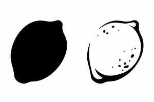 Vector black silhouette and line art illustration of a citrus lemon...