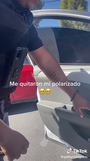 Police Interaction with Tinted Windows in Car