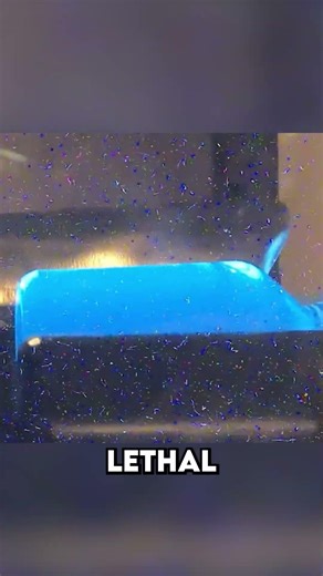 Lightning In A Bottle? 🤯