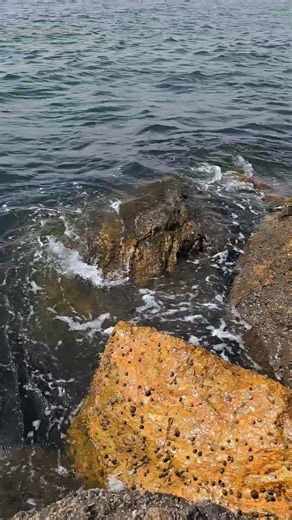 Modjo Coast | Ocean Rocks & Rolling Waves 🌊