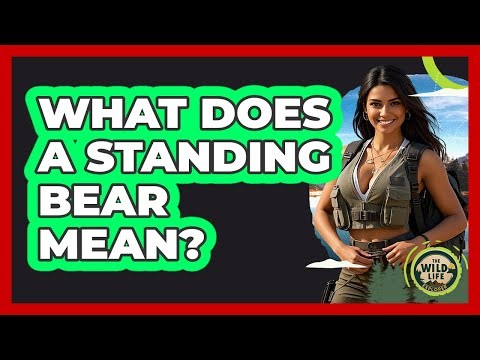 What Does A Standing Bear Mean?