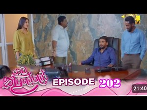 Paata Kurullo - පාට කුරුල්ලෝ | Episode 202 | 2025-02-17 | Hiru TV today