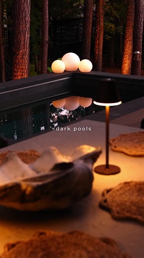 2026 is the year of dark pools.🌑 🌕 The deep finish creates a mirror like surface, amplified by subtle accent lighting that brings the space to life after hours. The result feels bold, quiet, and mysterious. This is the kind of pool that changes the atmosphere and leaves a lasting impression. Are you ready to set the mood? Give us a call to get started🤳 #constructivedesigngroup #raleighnc #smallpool #dreambackyard #dreambackyard @Soake Pools