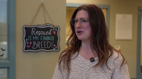 Tails to adoption: Meet Rex