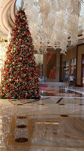 Oh, Christmas tree #christmasiscoming #fypシ゚ | Gems Maya