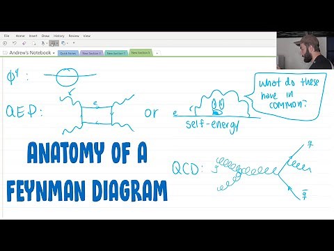 The Anatomy of a Feynman Diagram | on the Gaomon PD2200