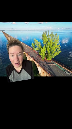 Exploring Fred the Tree in the Florida Keys