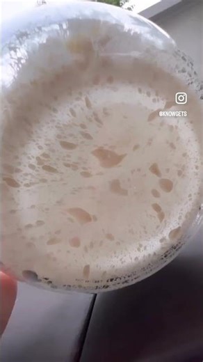 How to Make Mini French Buns in the Toaster Oven