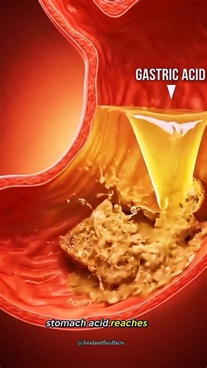 What Bread Really Does to Your Body..#Bread#WholeWheat #Carbs #BloodSugar #shorts