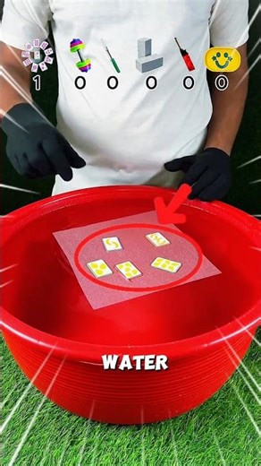 “Will It Sink or Survive? 😳🧪#challenge #shorts