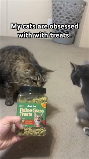 My cats were literally licking the container for these treats