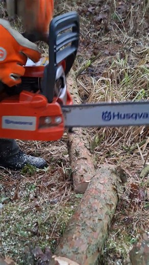 Chainsaw Husqvarna 120 Mark II 🔥🔥🔥 #shorts #kettensäge #husqvarna