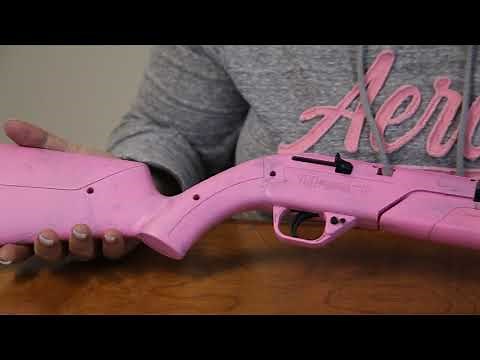 Crosman 760 Pumpmaster .177 cal Air Rifle