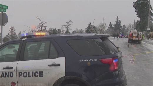 Family files $375M wrongful death suit after downed Portland powerline kills 3