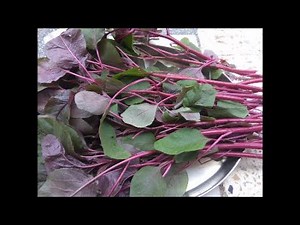 Sigappu Thandu Keerai Kadiyal recipe / maadi thottam Garden ideas Samayal kurippu kulambu varieties